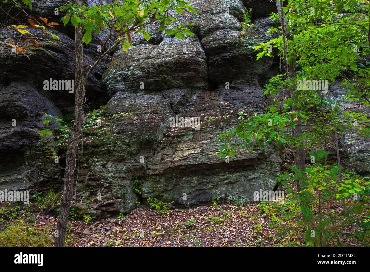 An outcropping of shale rock in Pike County, Pennsylvania Stock Photo