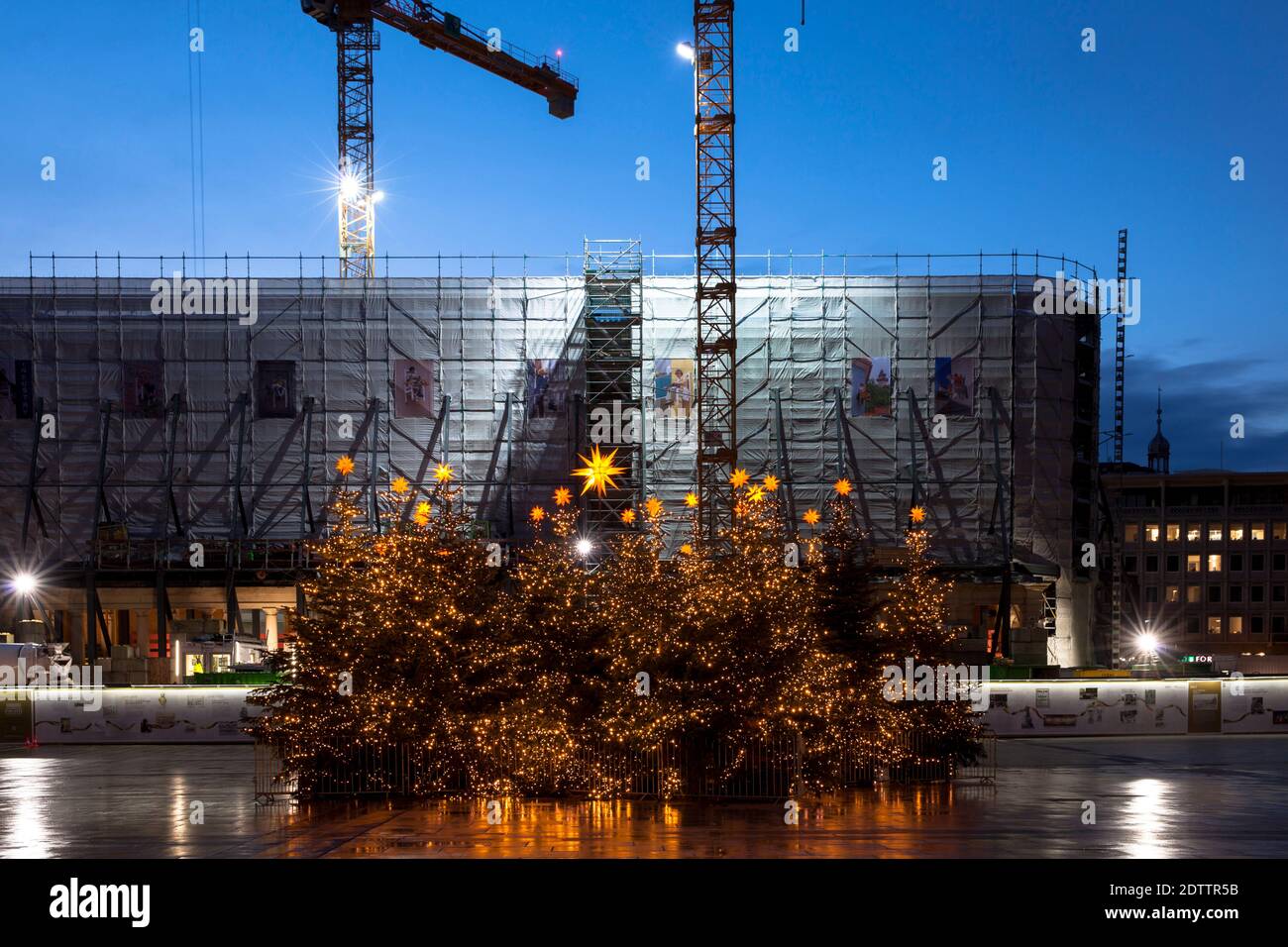 decorated Christmas trees on Roncalliplatz in front of the Dom Hotel under renovation during the Corona Pandemic, Cologne, Germany. There is usually a Stock Photo