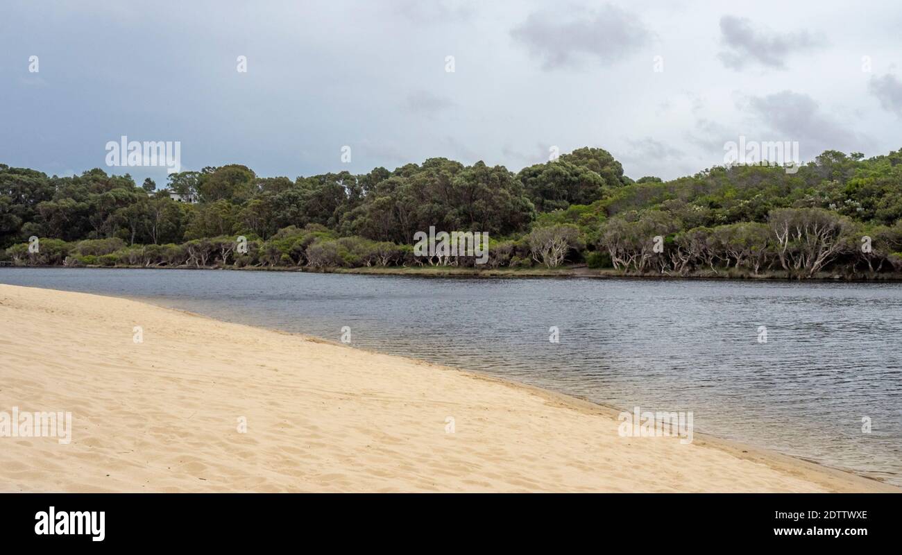 Sand dune along one riverbank and Melaleucas and eucalyptus trees and scrubs along Moore River Guilderton Western Australia Stock Photo