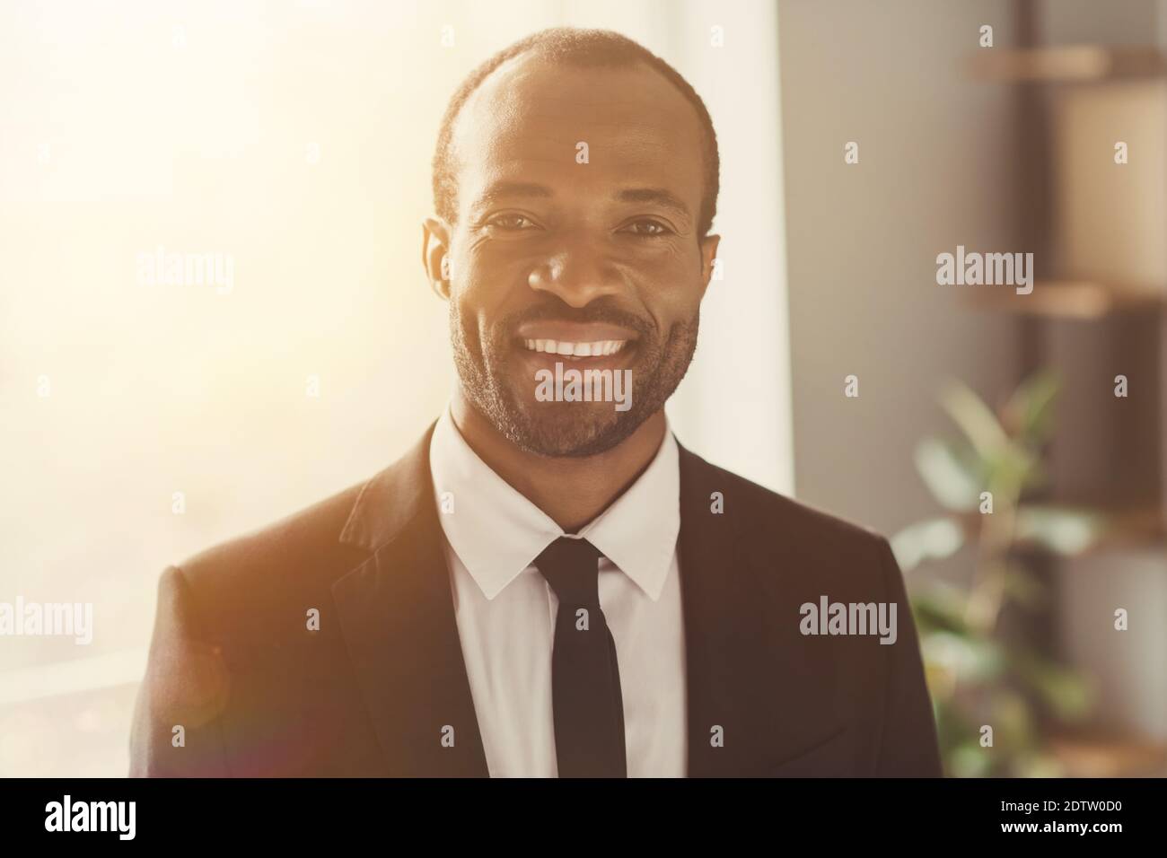 Close-up portrait of his he nice attractive trendy classy cheerful bearded guy director partner banker economist lawyer attorney consultant agent Stock Photo