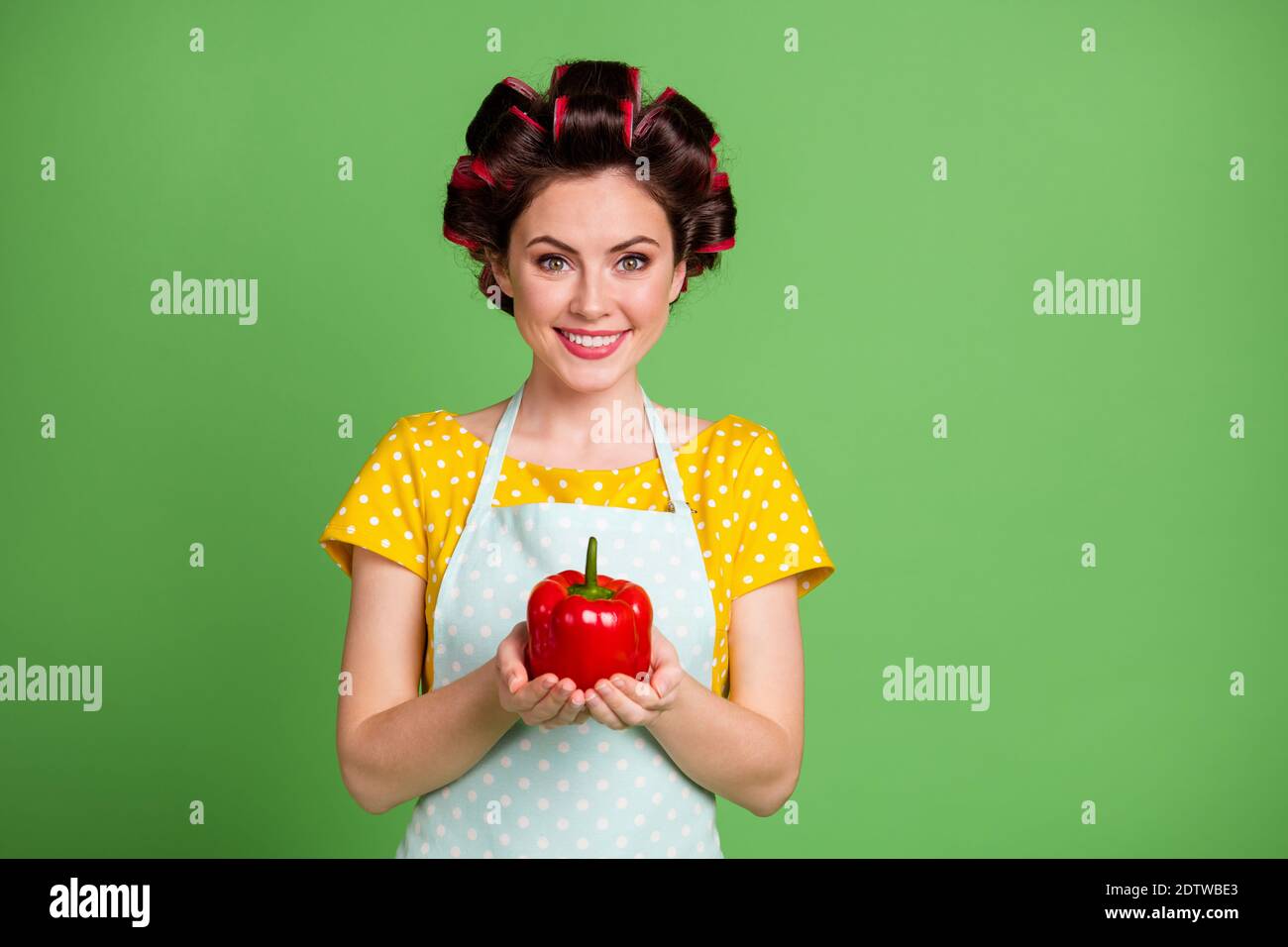 Photo of scared brown haired beautiful wife hold cheese grater bite lip  wear dotted apron purple bathrobe isolated on pink color background Stock  Photo - Alamy