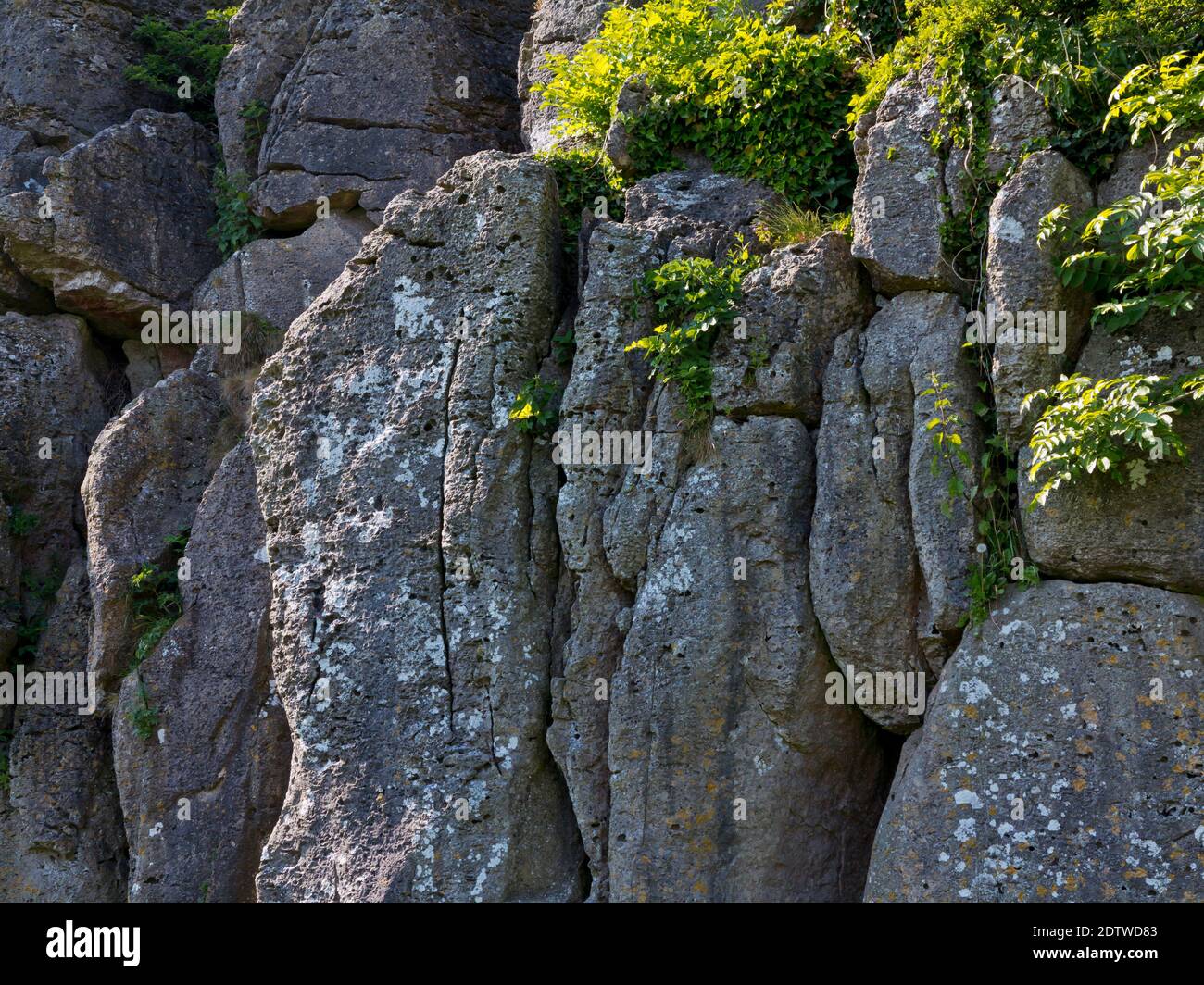 Dolomitic limestone hi-res stock photography and images - Alamy