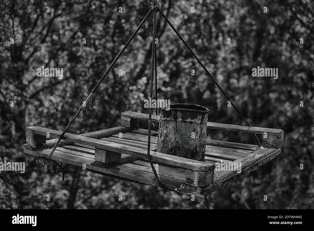 Old bucket on a wooden suspended platform against a lush foliage. Overhaul, construction works and obsolete equipment theme. Low key black and white p Stock Photo