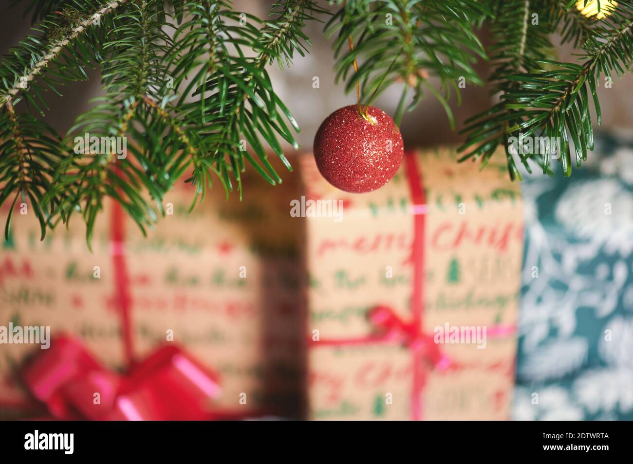 Red christmas ball on fir branch  in blurred gift boxes background Stock Photo
