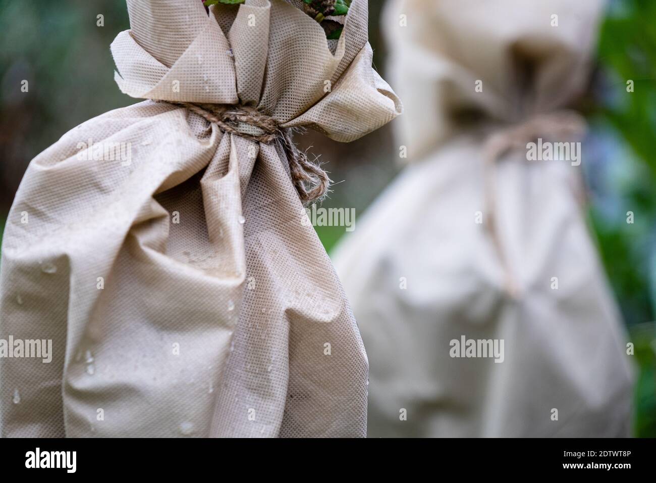 Frost protection hires stock photography and images Alamy