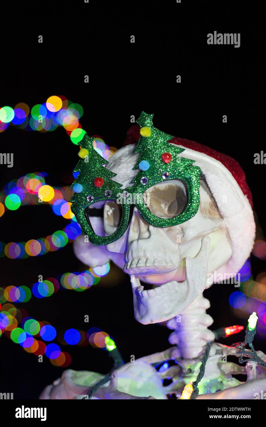 A skeleton decorated for Christmas with funny glasses and lights. Stock Photo
