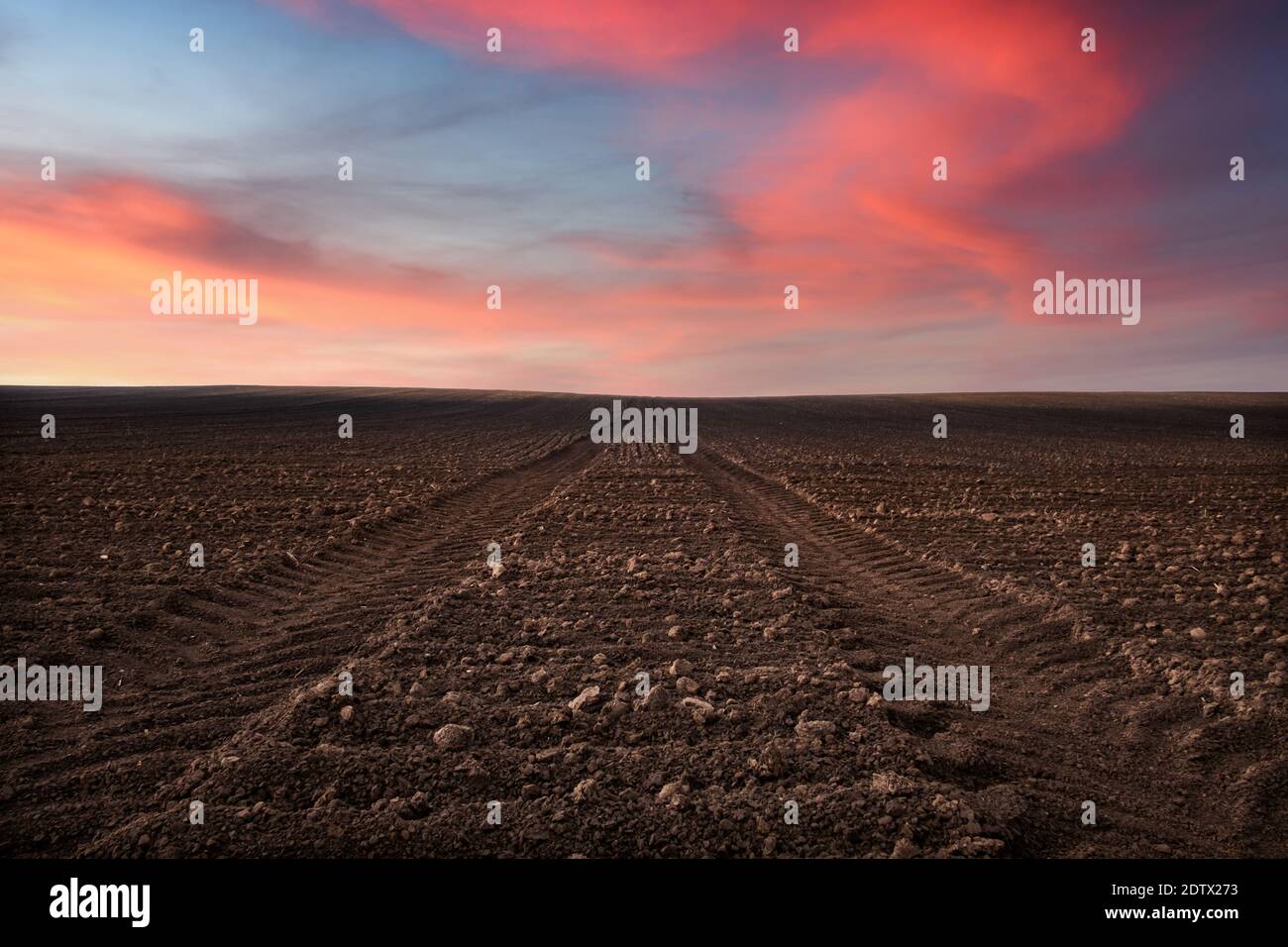 Agriculture field on spring time. Agricultural background Stock Photo