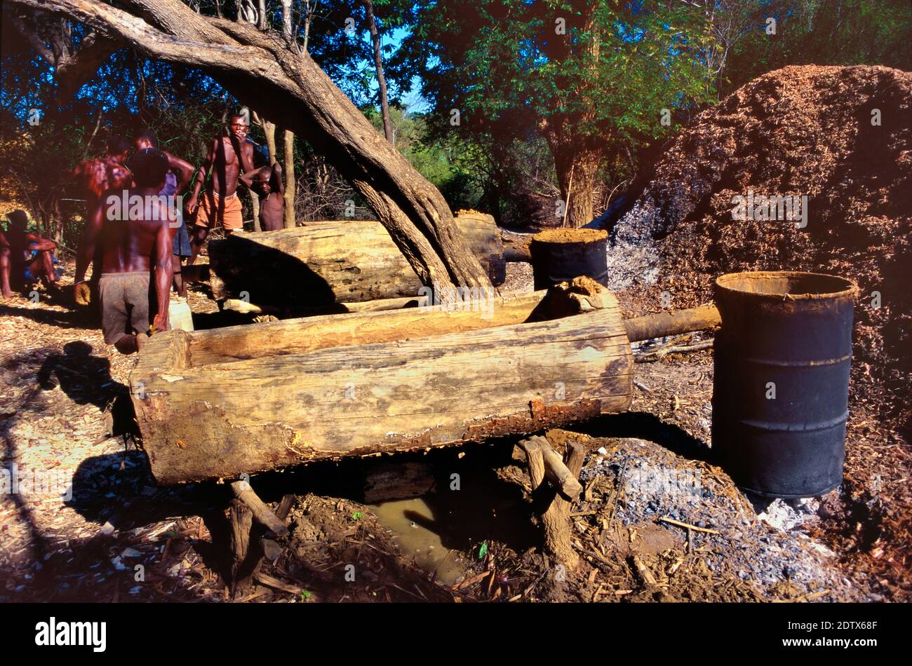 Primitive Distillery, Illicit Rum Distillery or Bootleg Alcohol Still Hidden in Forest in west Madagascar Stock Photo