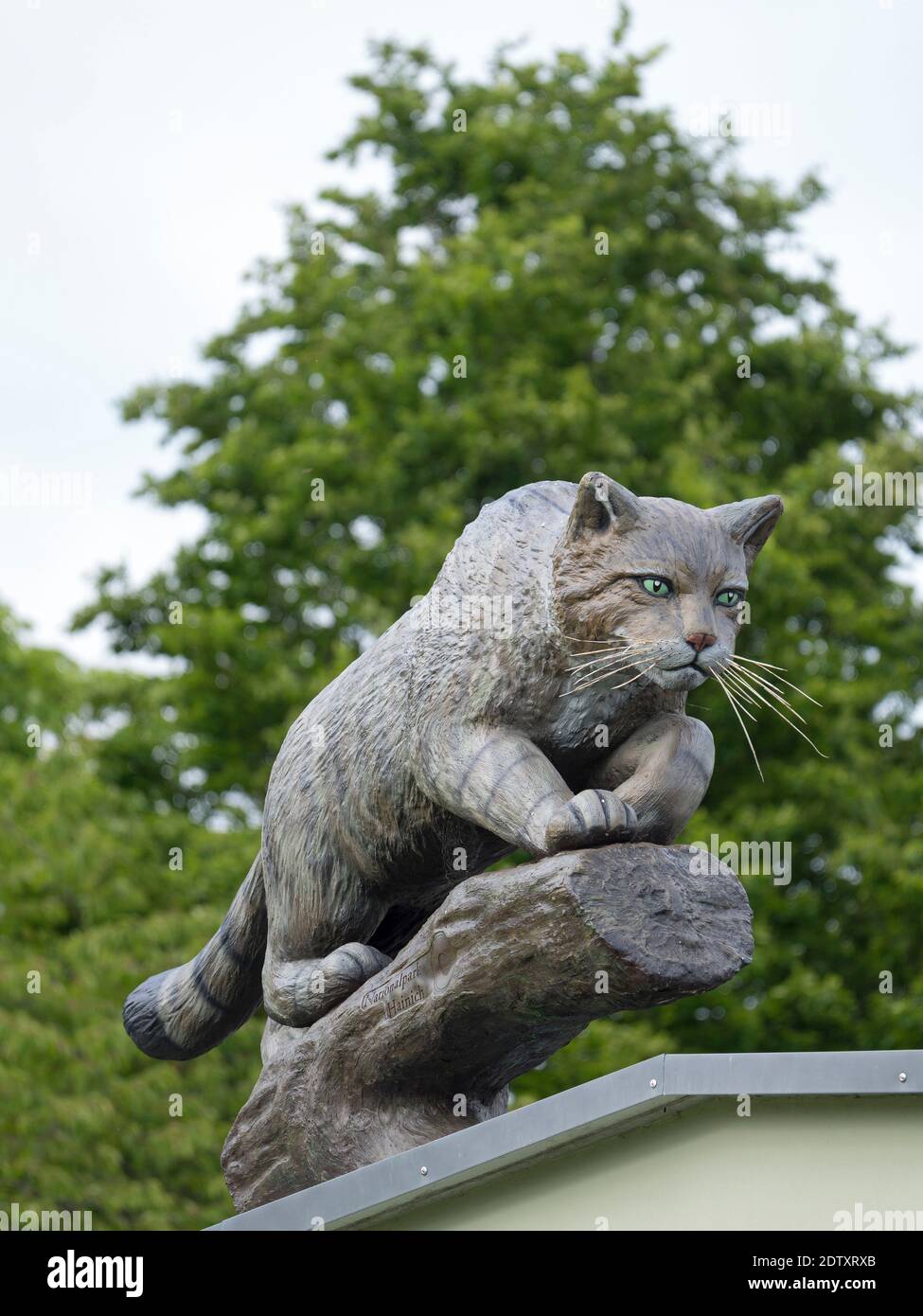 European wildcat, carved from wood. The symbol and mascot of the NP. The woodland Hainich in Thuringia, National Park and  part of the UNESCO world he Stock Photo