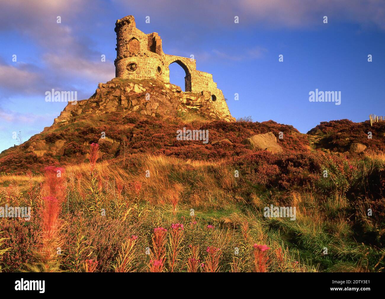 Mow Cop Castle in summer, Mow Cop, Cheshire & Staffordshire Border, England, UK Stock Photo