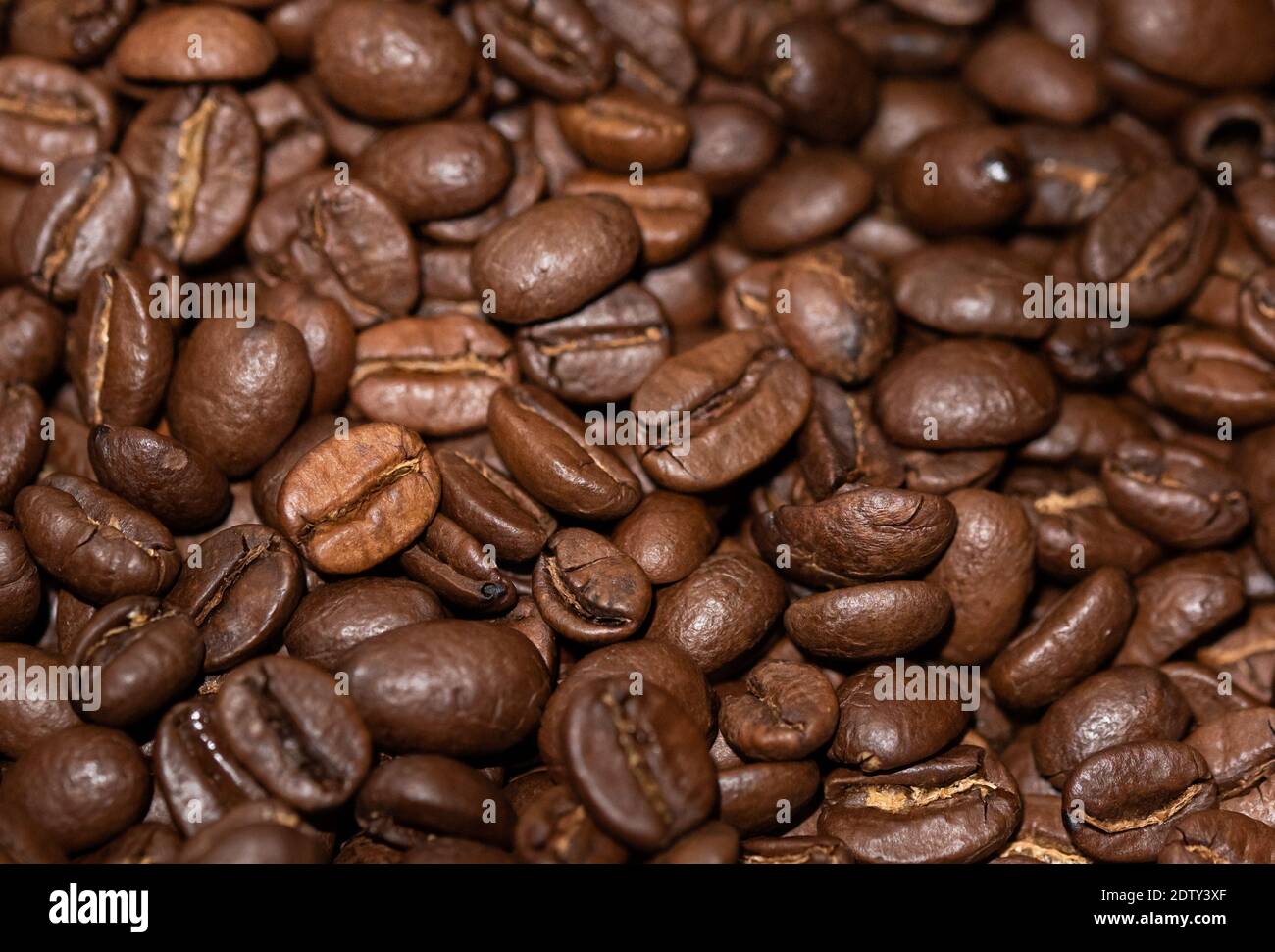 Coffee beans up close Stock Photo Alamy