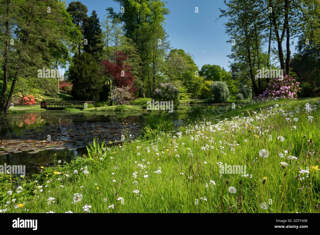 The Folly Garden in spring, Cholmondeley Castle, Cholmondeley, Cheshire, England, UK Stock Photo