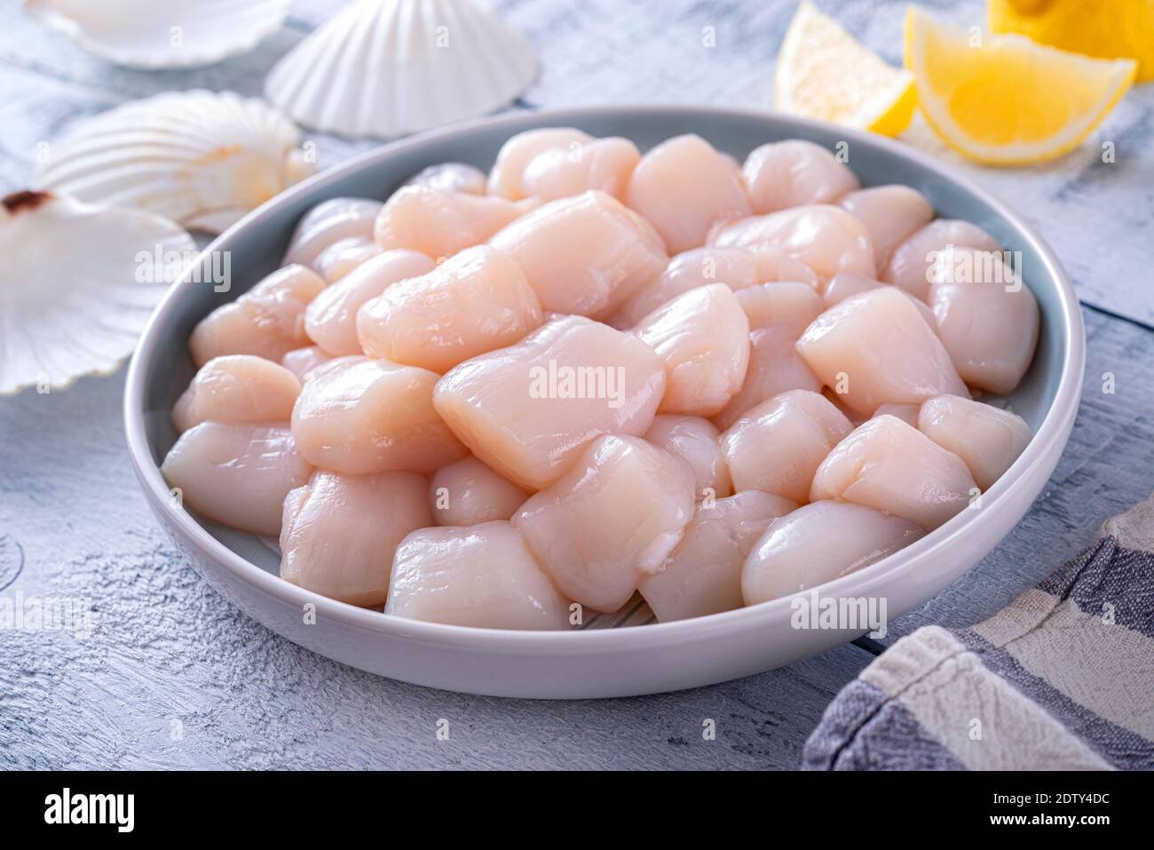 Fresh 20-30 ct sea scallops on a wood table top with shells and lemon. Stock Photo