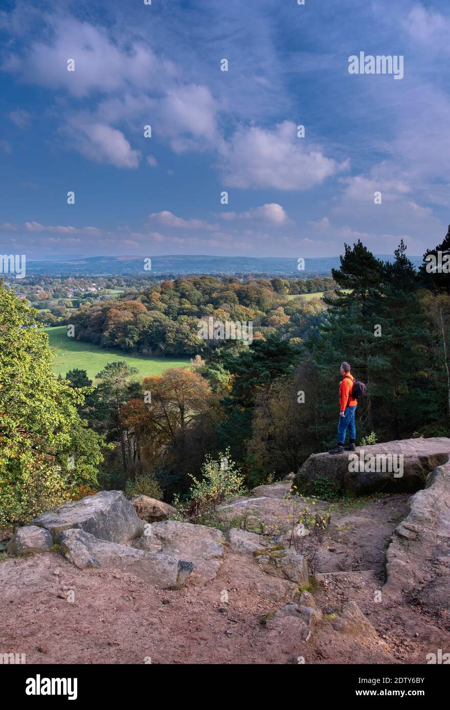 Walker at Stormy Point looking out over the Cheshire Plain in autumn, Alderley Edge, Cheshire, England, UK Stock Photo