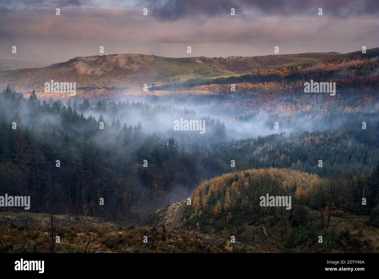 Early morning mist clearing from Teggs Nose and Macclesfield Forest, near Macclesfield, Cheshire, England, UK Stock Photo
