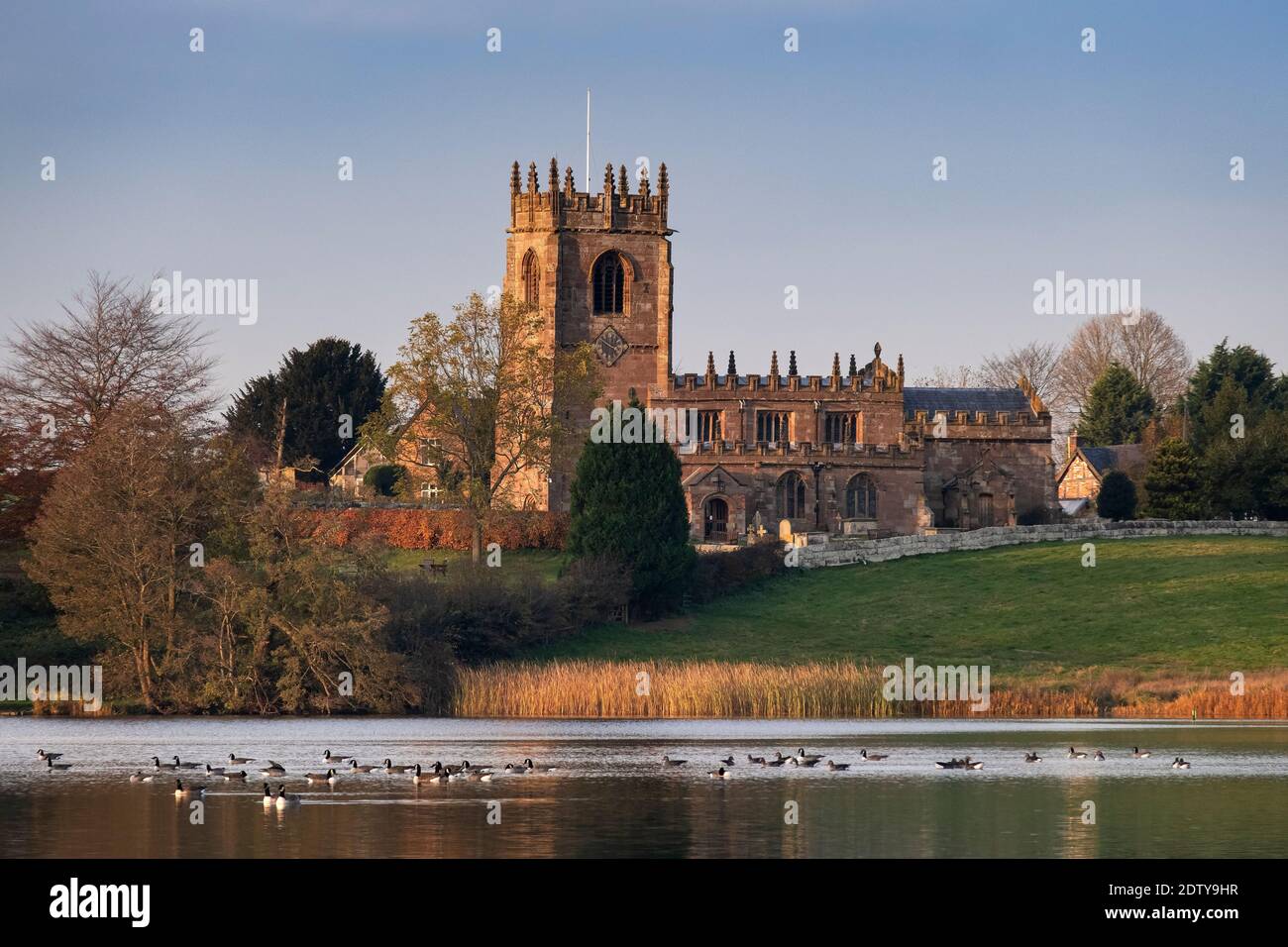 Canada Geese on Big Mere backed by St Michael’s Church, Marbury, Cheshire, England, UK Stock Photo