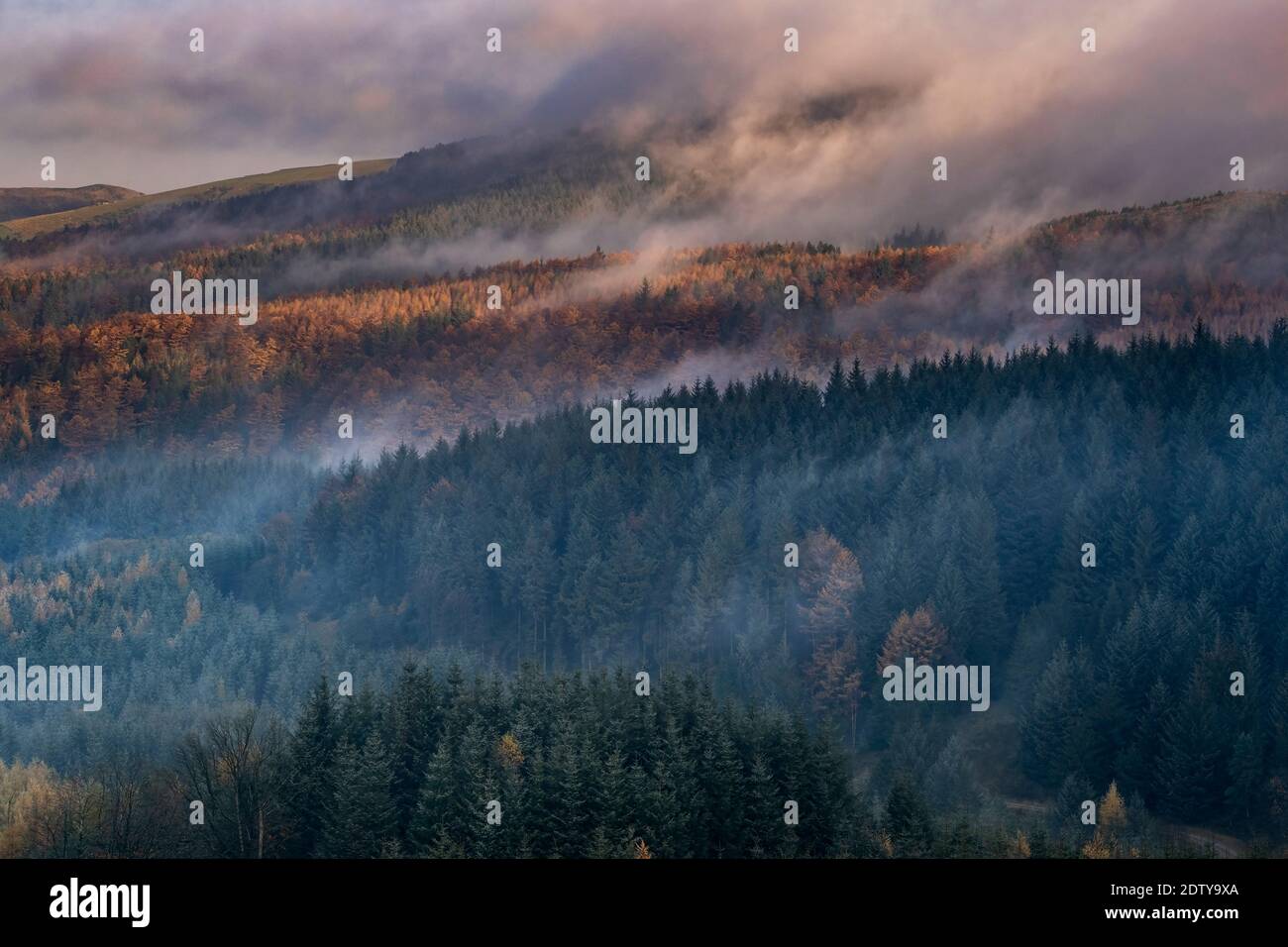 Fog clearing from Macclesfield Forest in autumn, near Macclesfield, Cheshire, England, UK Stock Photo