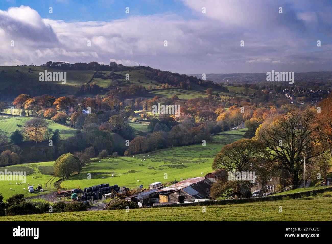 White Nancy and Kerridge Hill in autumn, Bollington, Cheshire, England, UK Stock Photo