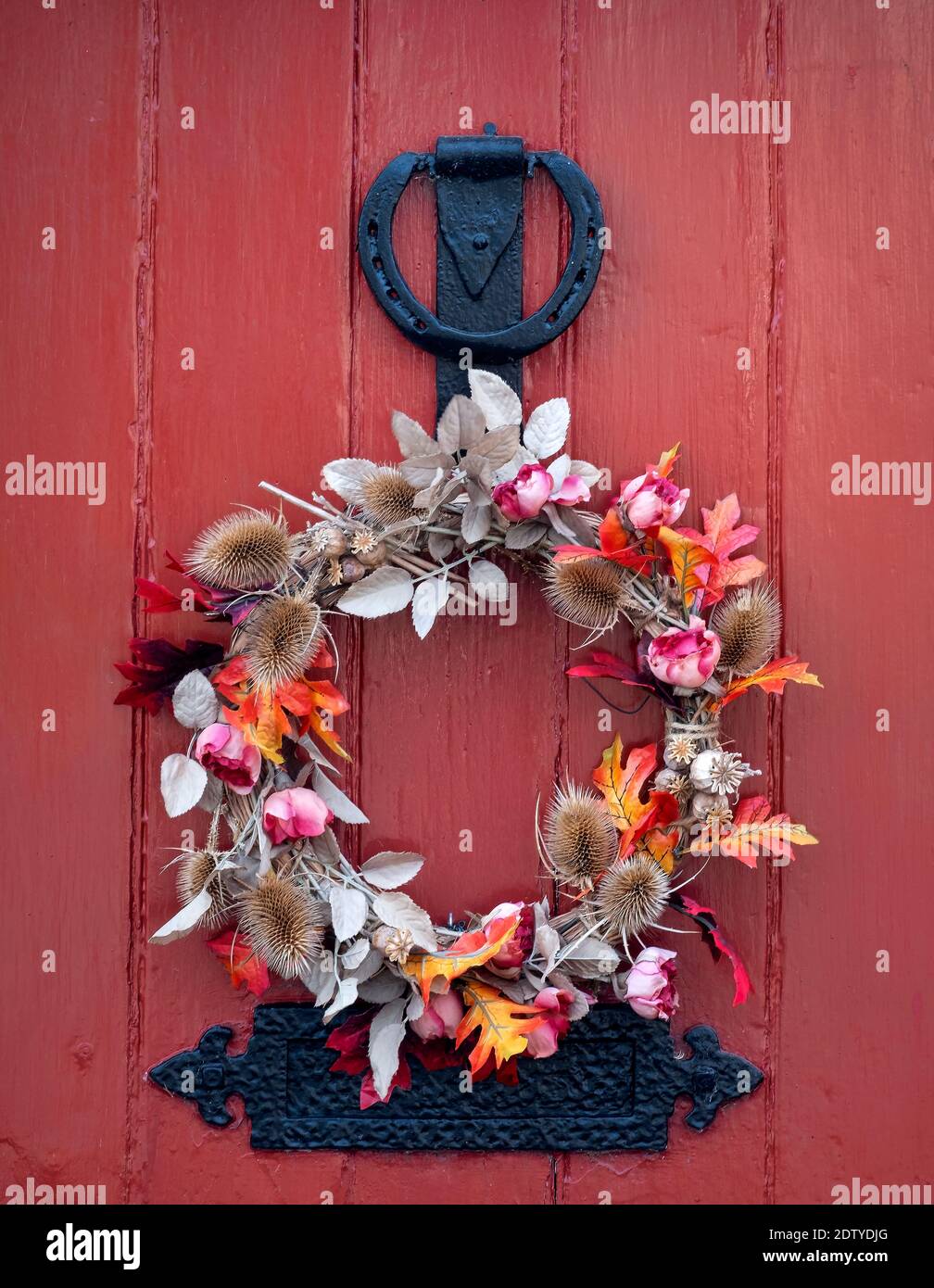 Seasonal Autumn Wreath on a Red Front Door, Cheshire, England, UK Stock Photo