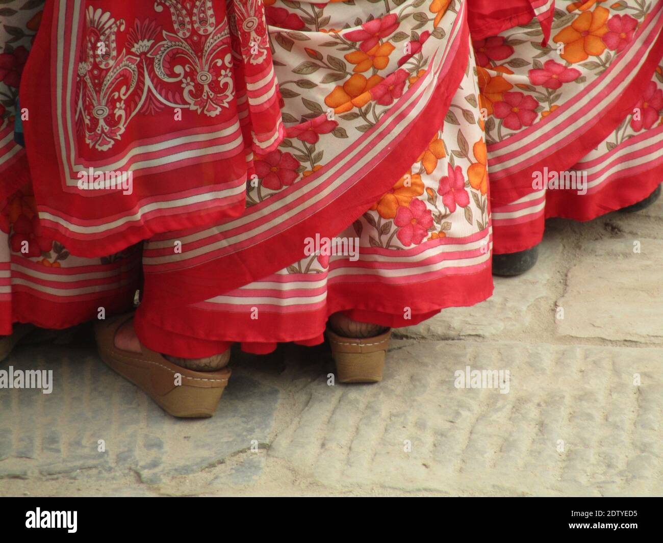 Women in the sari hi-res stock photography and images - Alamy