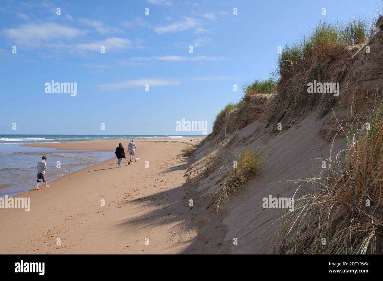 A family walking their dog on the beach at Newburgh on the northeast coast of Scotland, UK Stock Photo