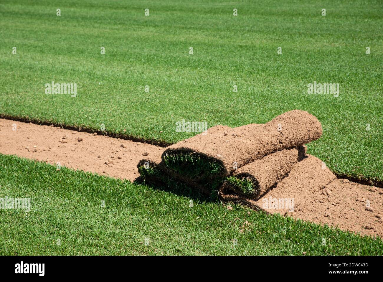 The grass industry, harvesting and sowing Stock Photo