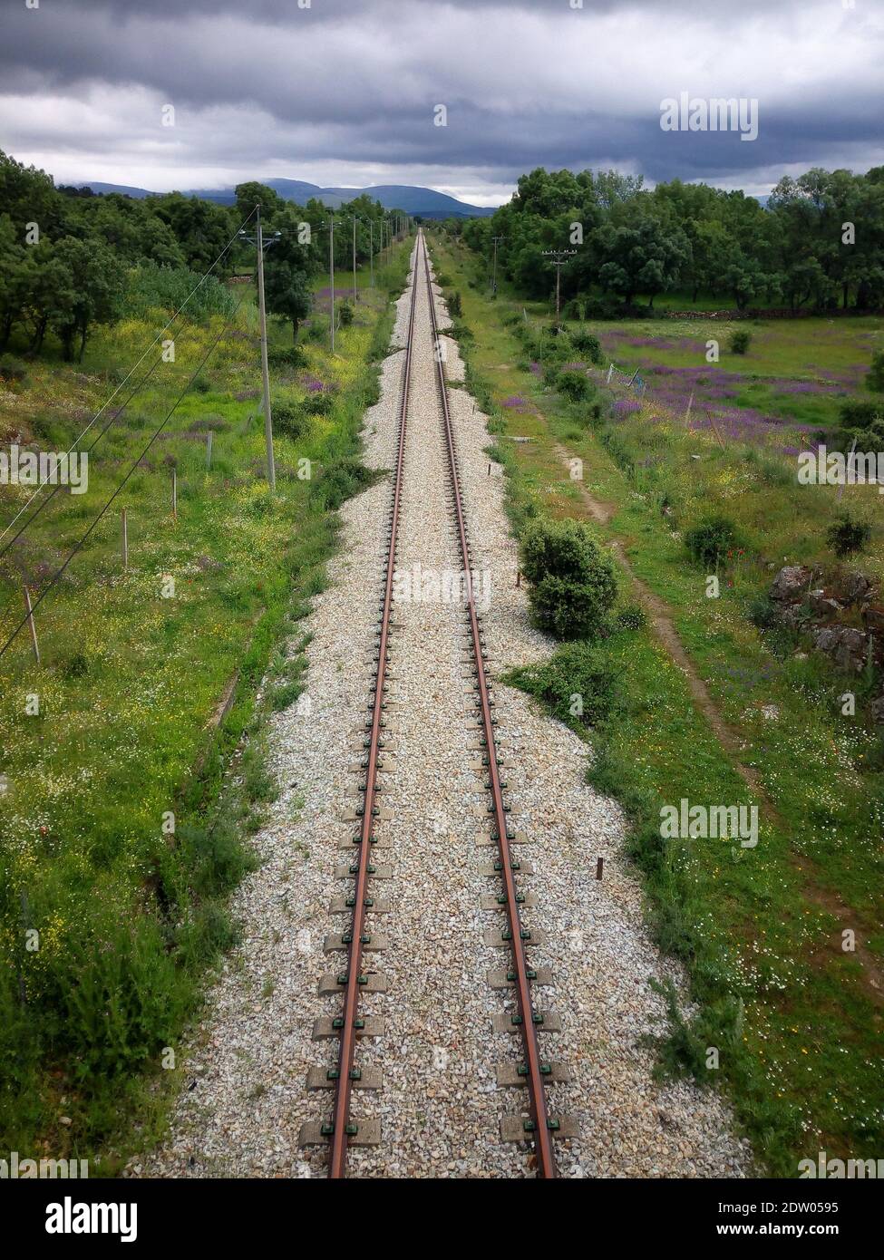 Grass growing along rural road hi-res stock photography and images - Alamy