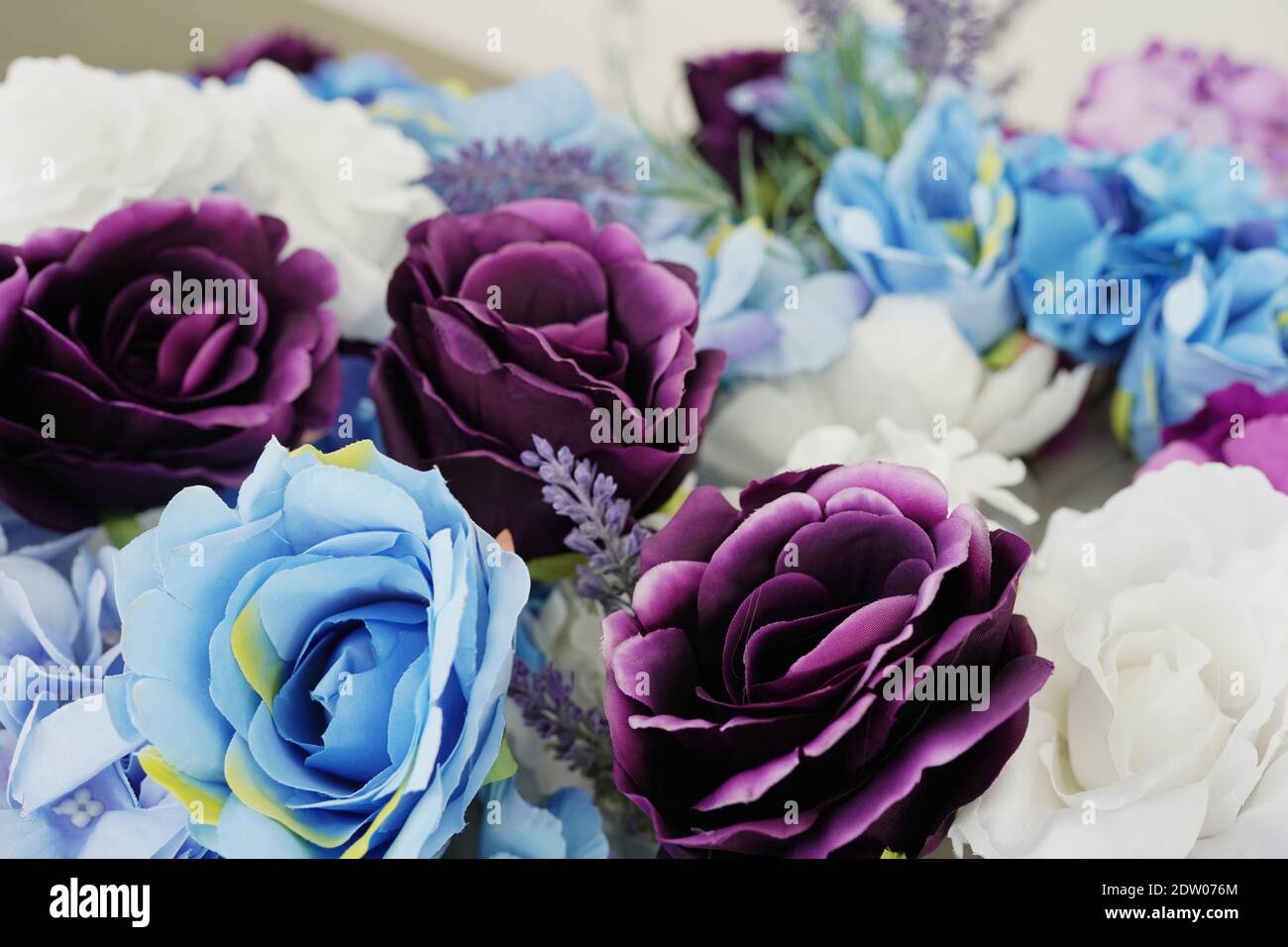 Close up focus on pink,purple, white and blue blooming spring flowers Stock Photo