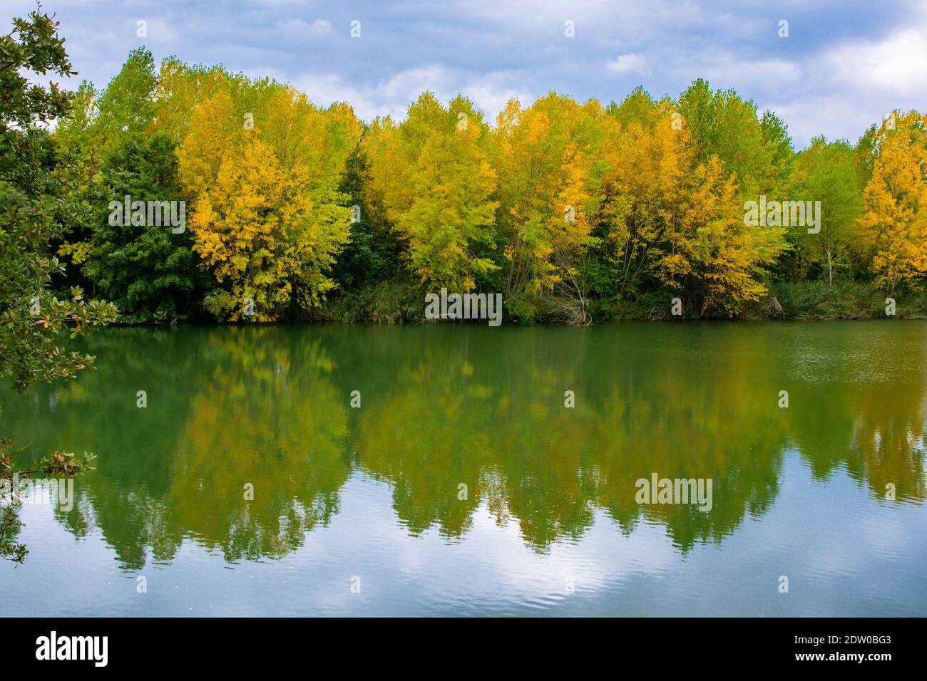 Lake with trees reflected in the water Stock Photo - Alamy