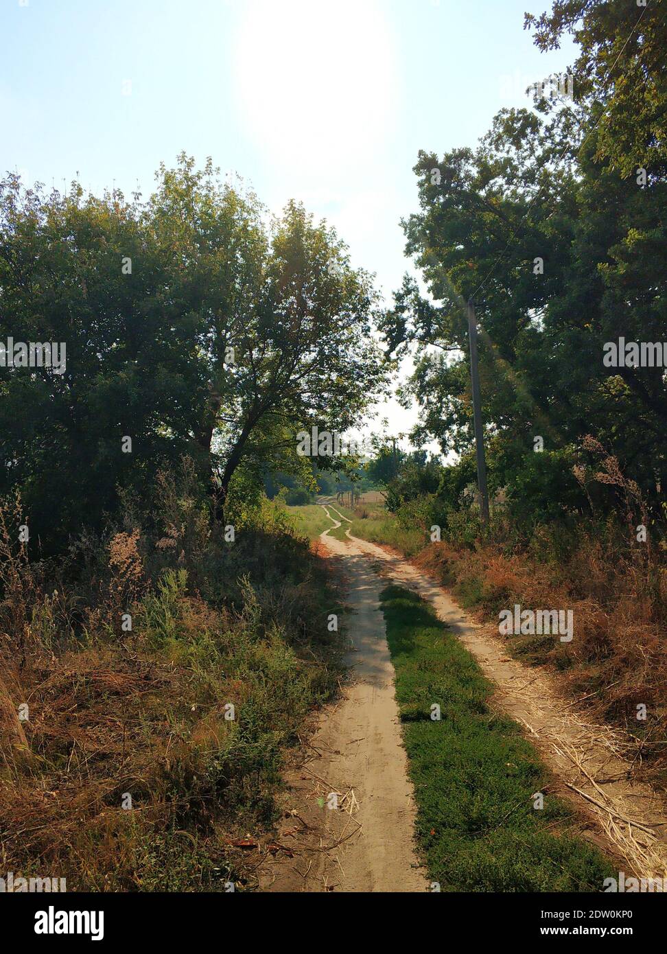 A picturesque country road in the village Stock Photo - Alamy