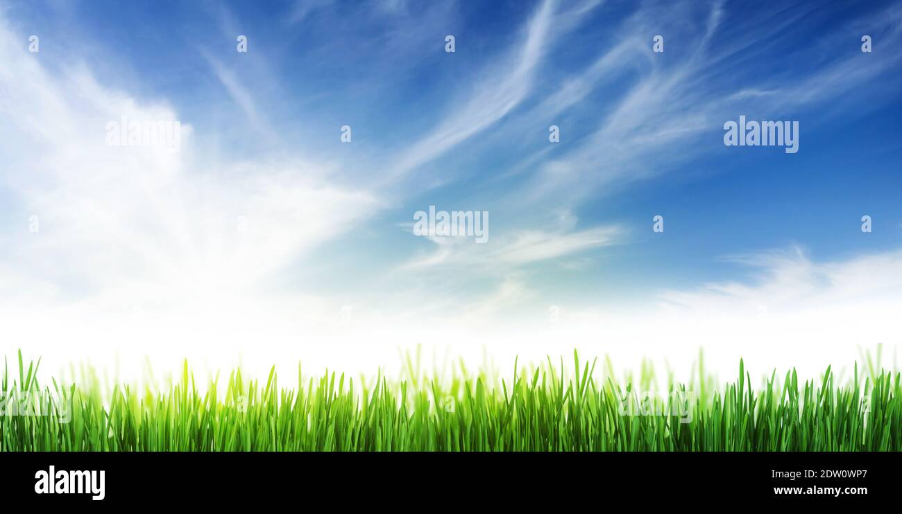 Green grass field and blue sky with bright sun summer landscape ...