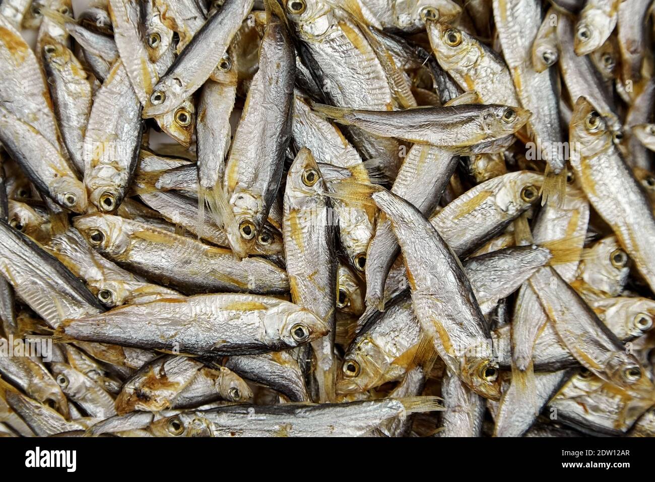 сонник сушеная рыба. соленая сушеная рыба. вобла астраханская. к чему снится рыба серая склиская разделенная на три части женщине. приснилась сушеная рыба.