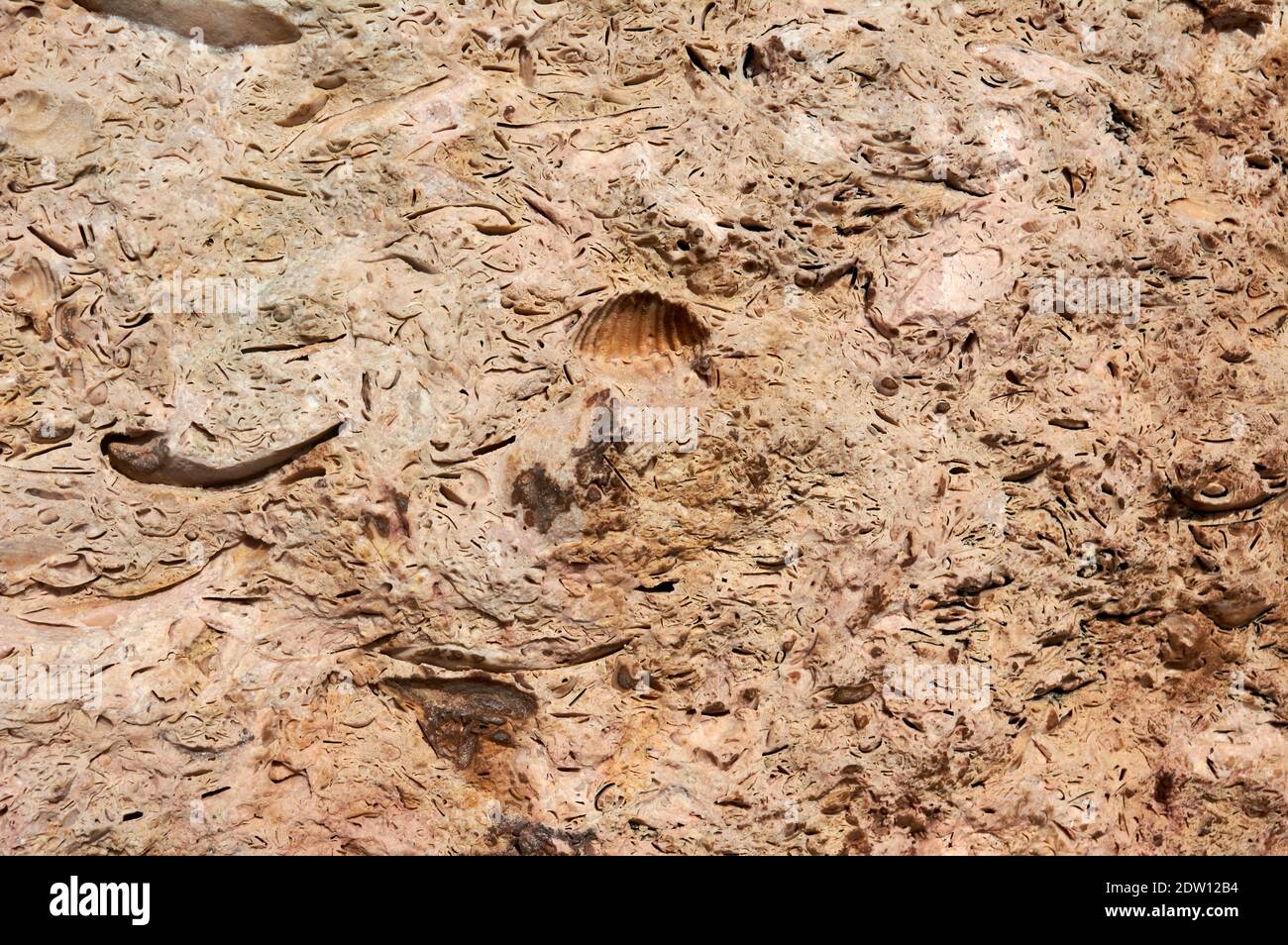 textured background, natural limestone copy space Stock Photo