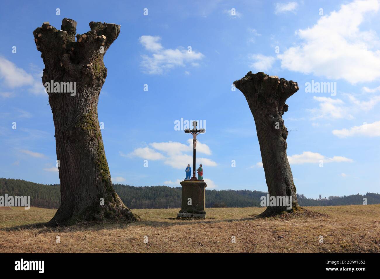 a wayside cross between newly pollarded willow trees, seen in Frankonia, Bavaria, Germany  /  Feldkreuz zwischen Kopfweiden nach der Schneitelung, Bes Stock Photo