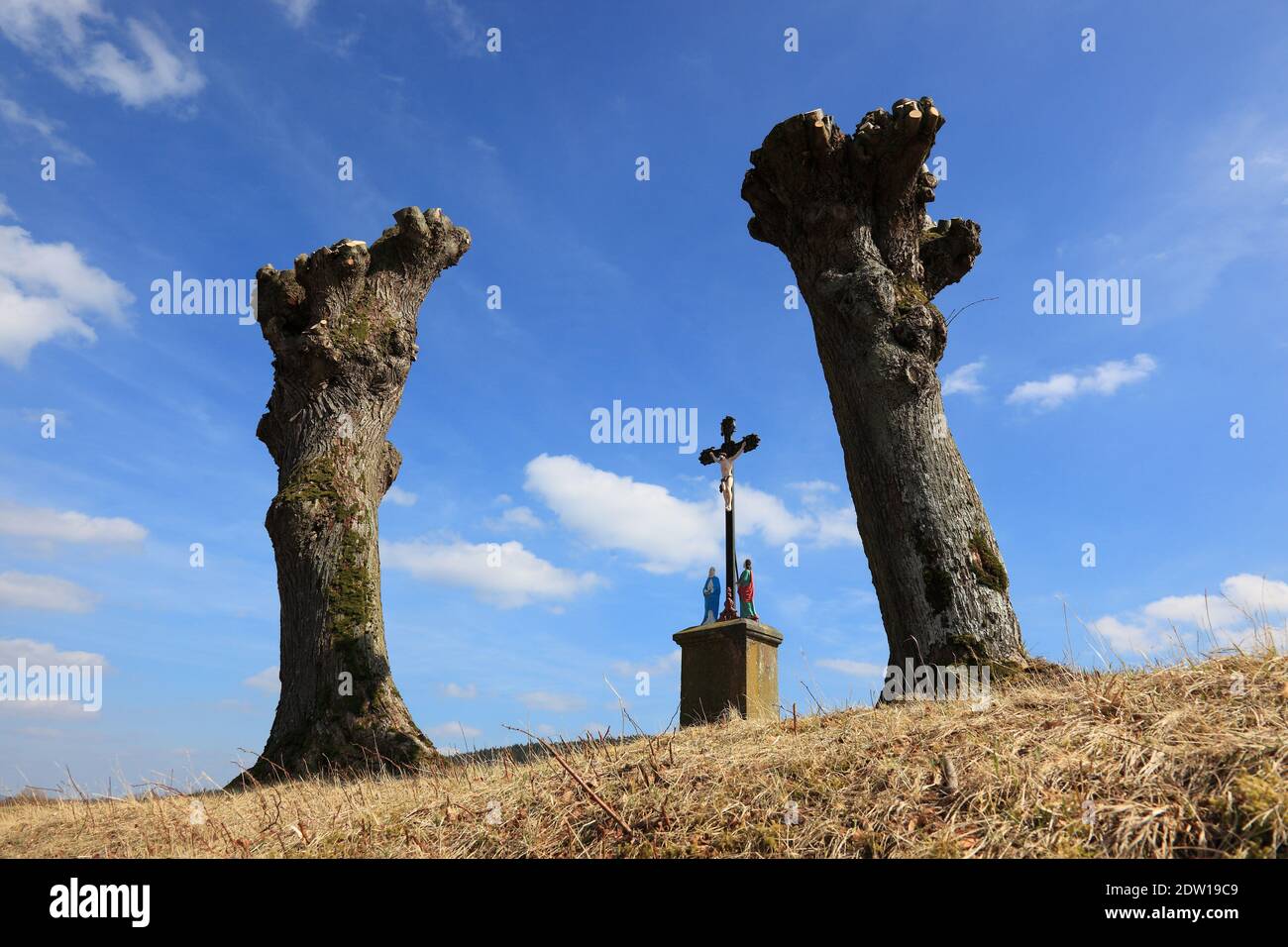 a wayside cross between newly pollarded willow trees, seen in Frankonia, Bavaria, Germany  /  Feldkreuz zwischen Kopfweiden nach der Schneitelung, Bes Stock Photo