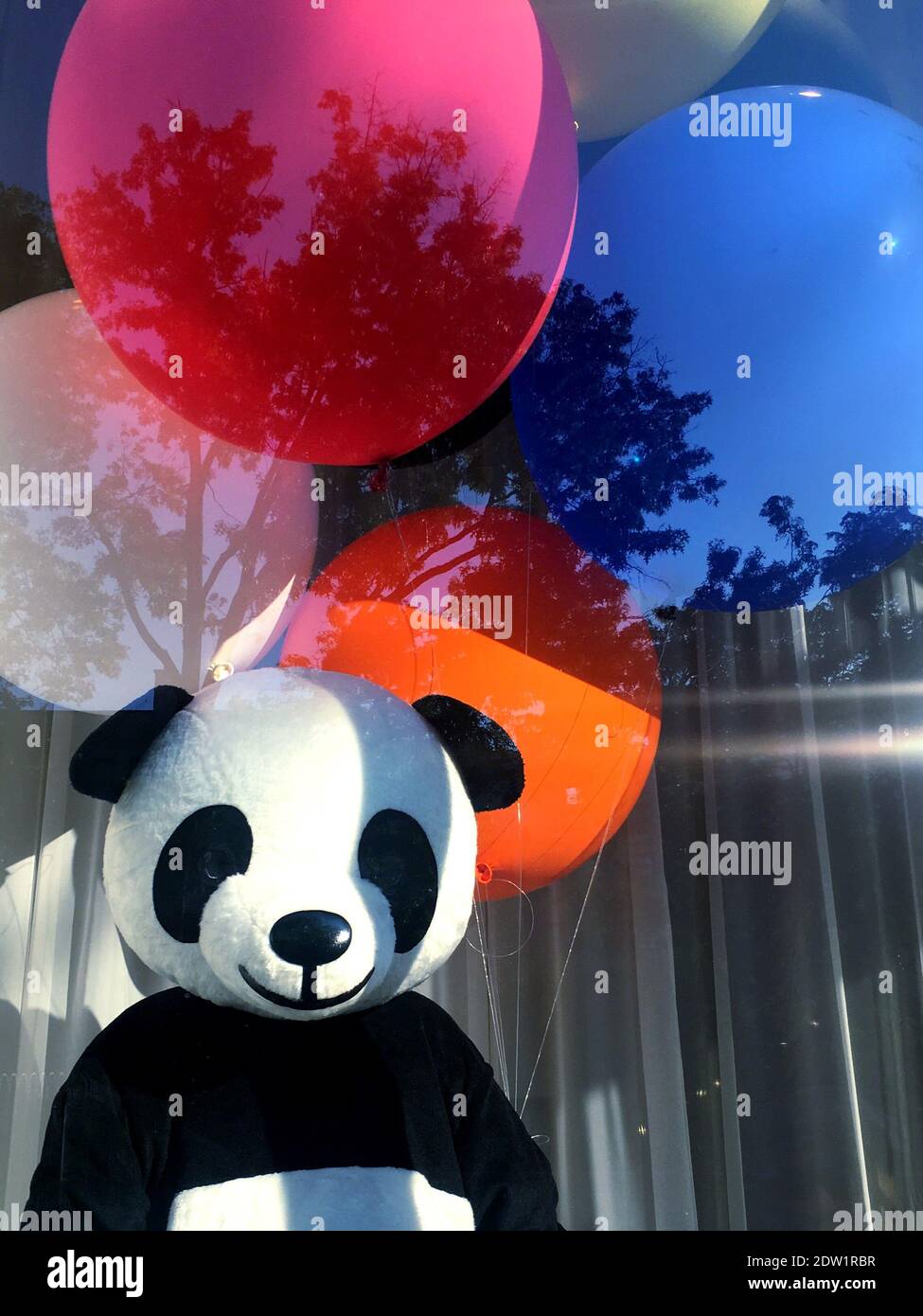 Panda With Balloons High Resolution Stock Photography and Images - Alamy