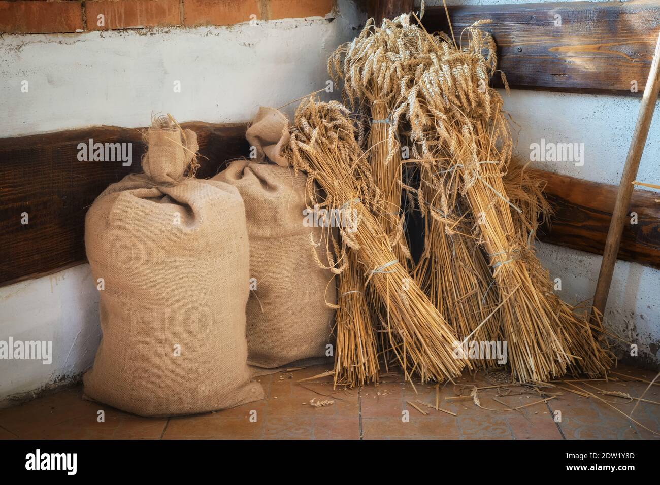 Sheaves of wheat spikelets and bags of flour. Stock Photo