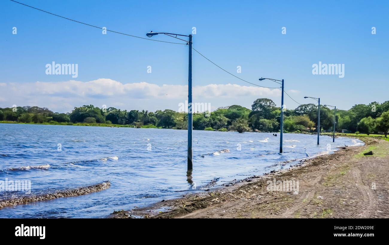 Relaxing lake Nicaragua landscape with tree. Nicaragua, Central America