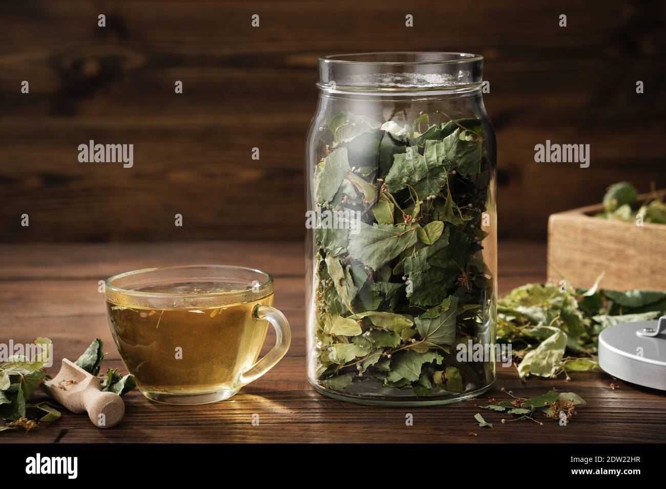 Cup of healthy tea with Linden tree flowers, jar of dry flowers and leaves of lime or Tilia cordata tree. Treatment for cold and flu. Stock Photo