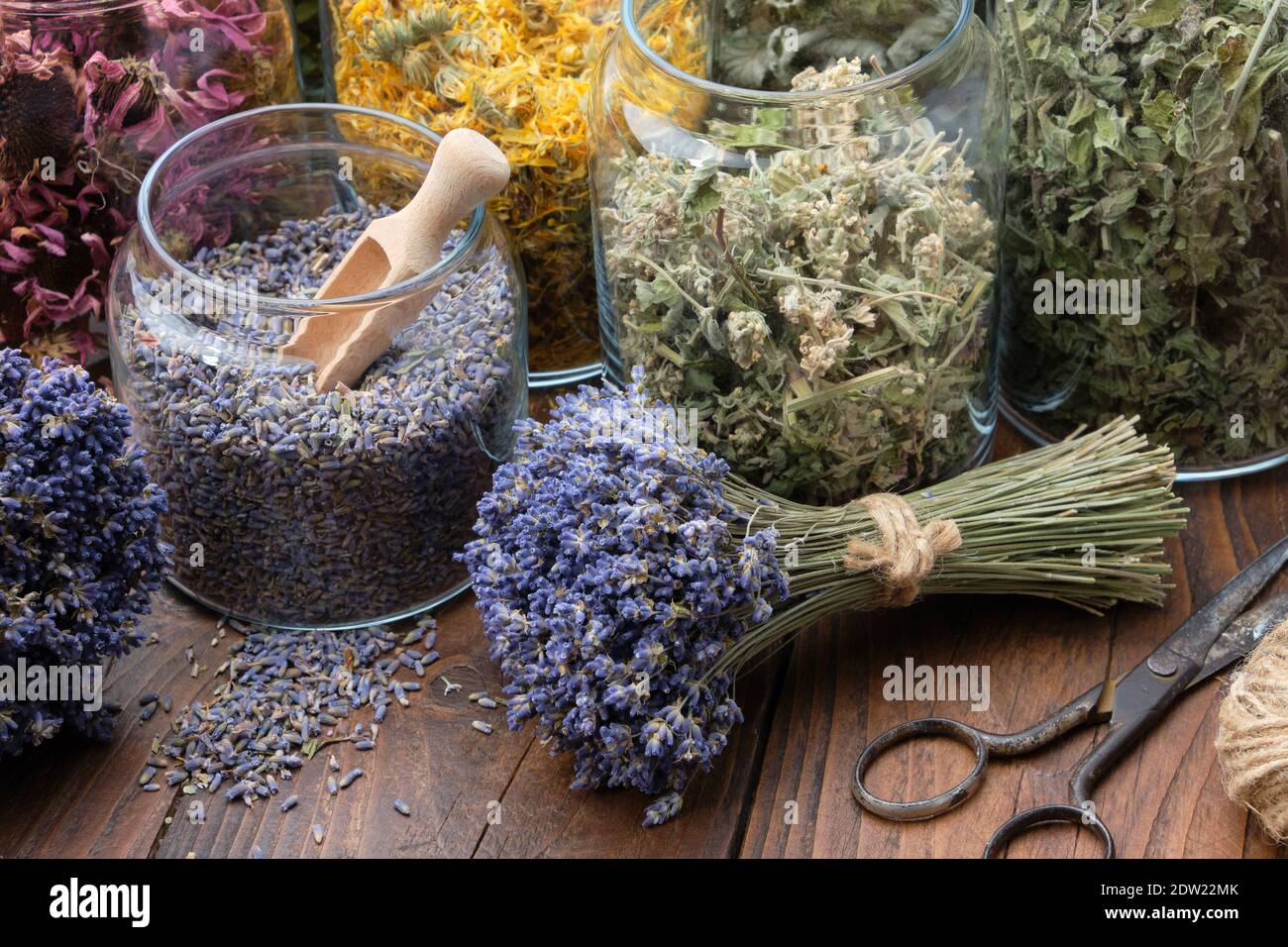 Glass jar of dry lavender flowers for making herbal tea, bunches of dry  lavender. Jars of different dry medicinal herbs on table. Alternative  medicine Stock Photo - Alamy