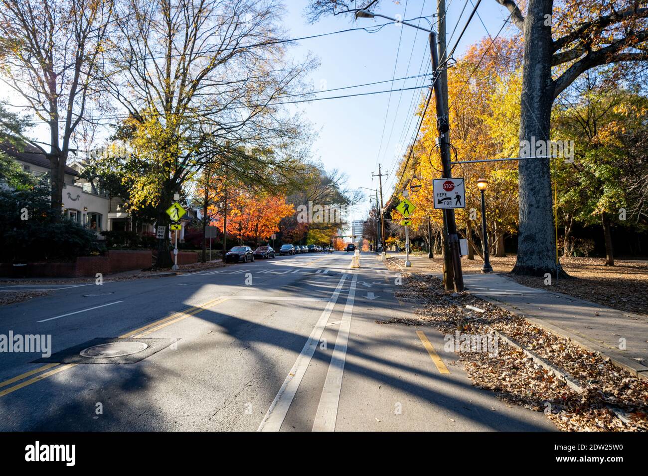 bike lane, atlanta, usa, safe, barrier, barricade, colorful, fall, season, foliage
