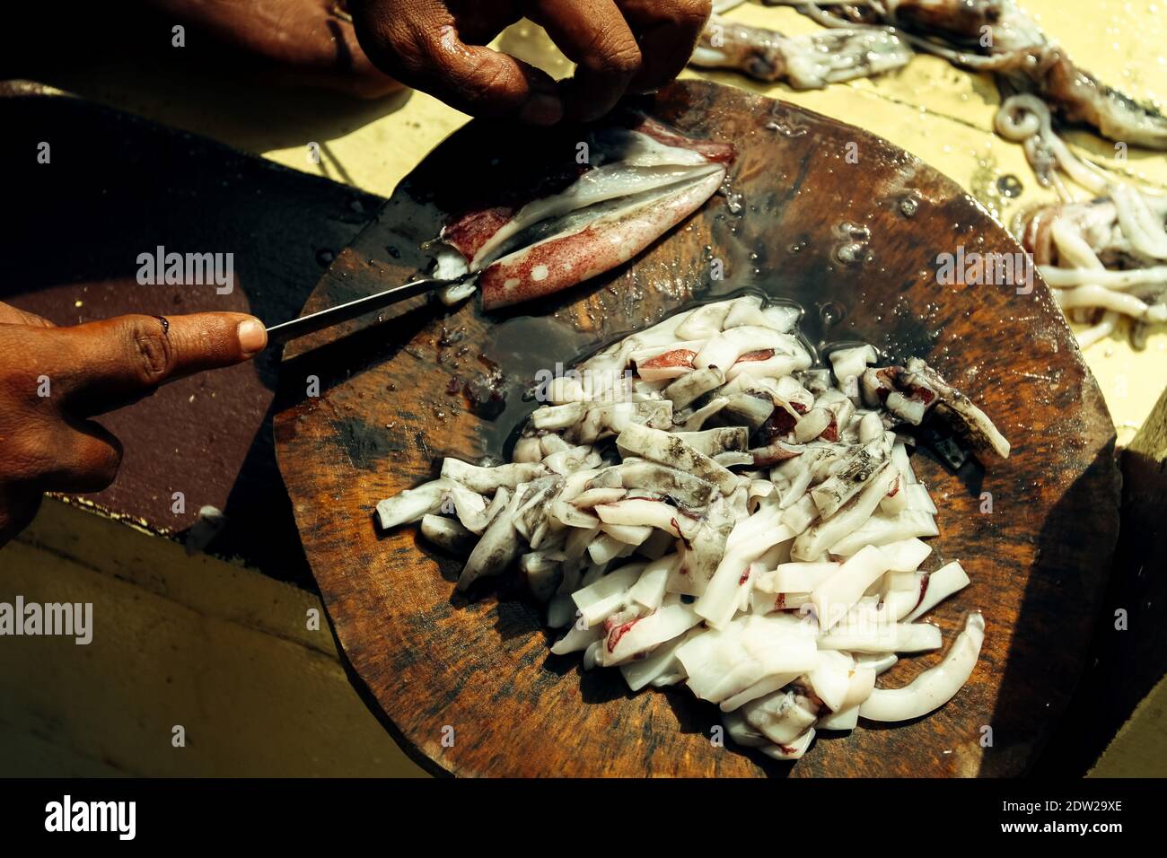 Squid bait of fishing in the Gulf of Thailand. Hands shred closeup