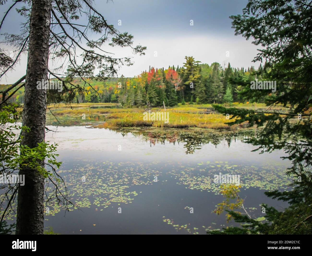 View from and on Thousand Islands in the Saint Lawrence River,  Ontario, Canada Stock Photo