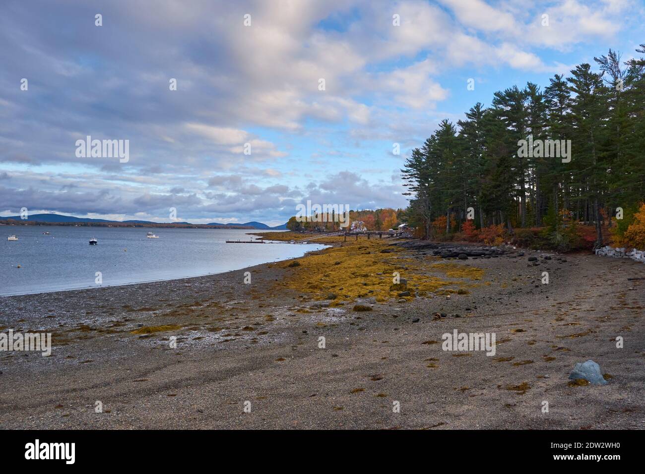 The curve of the land and a pier at Carrying Over Place Beach at low