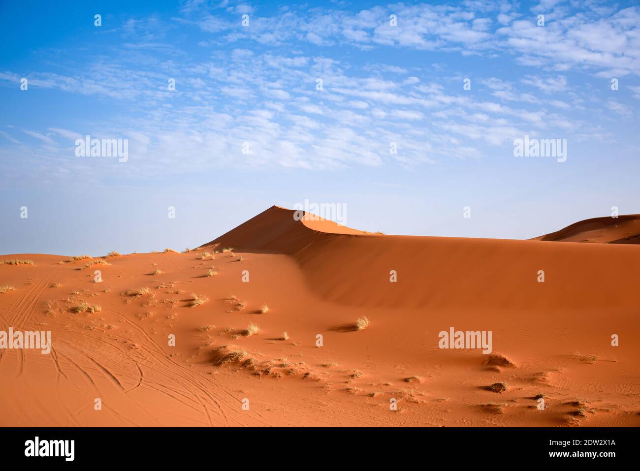 sahara desert morocco