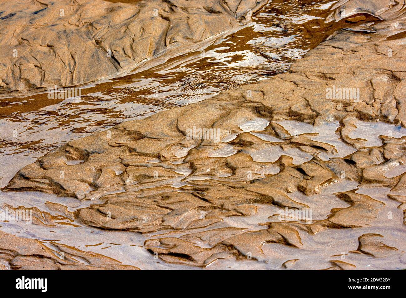 Sand and water up close, background brown Stock Photo