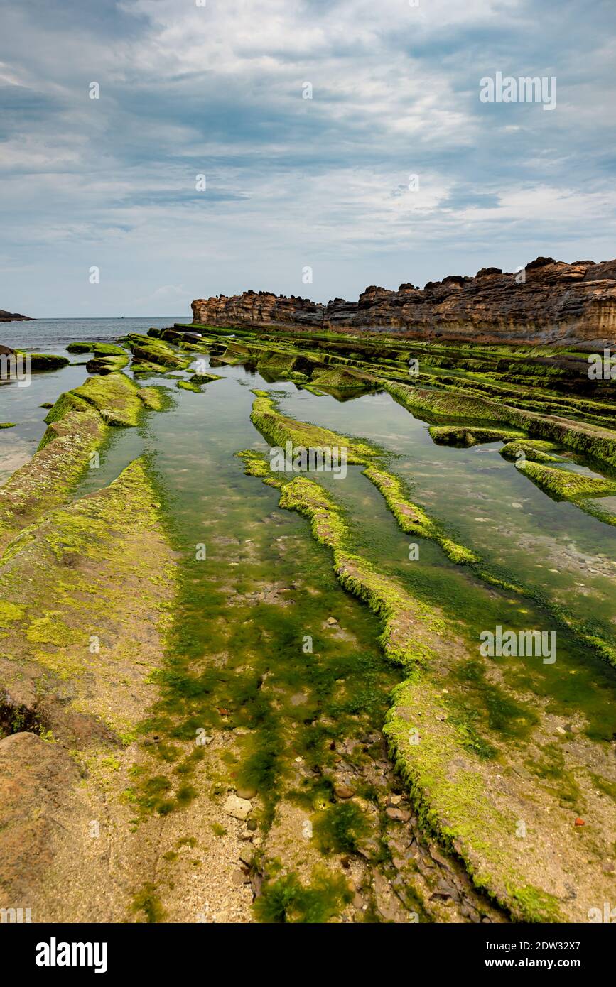 Sea landscape with rocks and greenery Stock Photo - Alamy