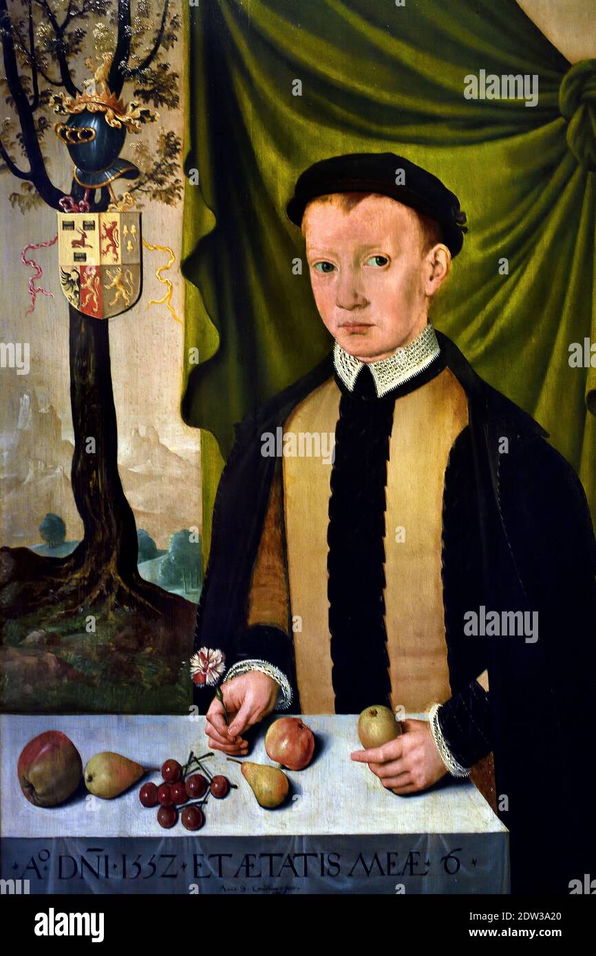 Gerrolt van Cammingha, six years old by Adriaan van Cronenburg (Schagen, ca.1523 - Bergum ca.1604), 1552  The Netherlands,  He is dressed in jerkin, black with light brown vertical stripes over a shirt with a lying lace collar and lace cuffs. Over this he wears a black tabard. On the head he has a black bonnet with a narrow brim. He holds a carnation in his right hand, an apple in his left.  ) Friesland Stock Photo