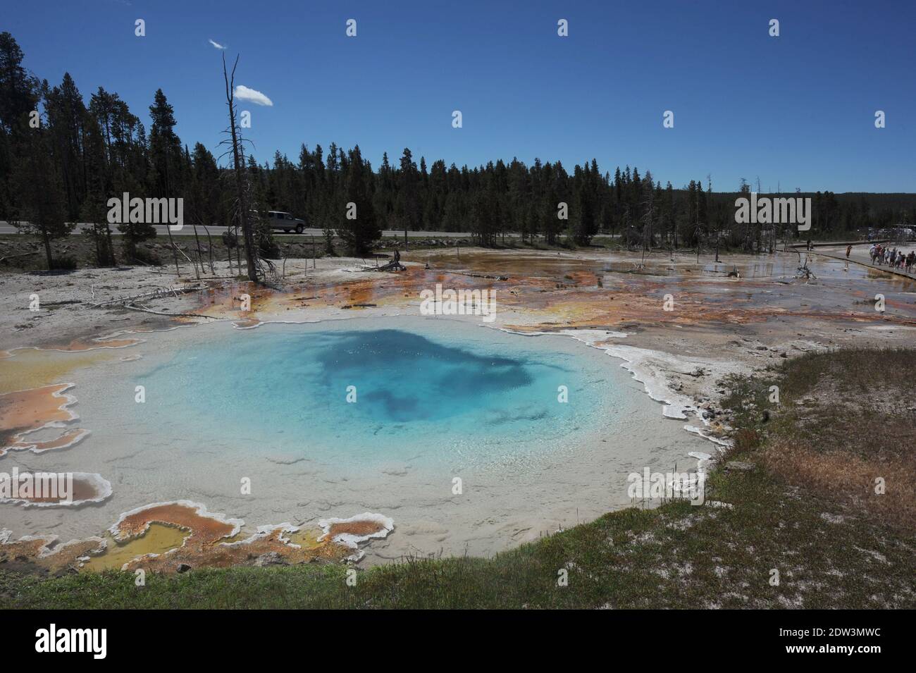 A view of Yellowstone National Park, WY, USA, taken in June 2013. In the days following a 4.8-magnitude earthquake in Yellowstone National Park, many bloggers and tourists have been expressing concerns about large droves of animals leaving the area. The possibility of the volcano under Yellowstone National Park erupting is a hot topic right now. The volcano under the park is so large and has the potential to produce such a massive eruption that it’s often referred to as a super volcano. Earthquakes are common in the area, with between 1,000 and 2,000 quakes in the area per year due to the volc Stock Photo