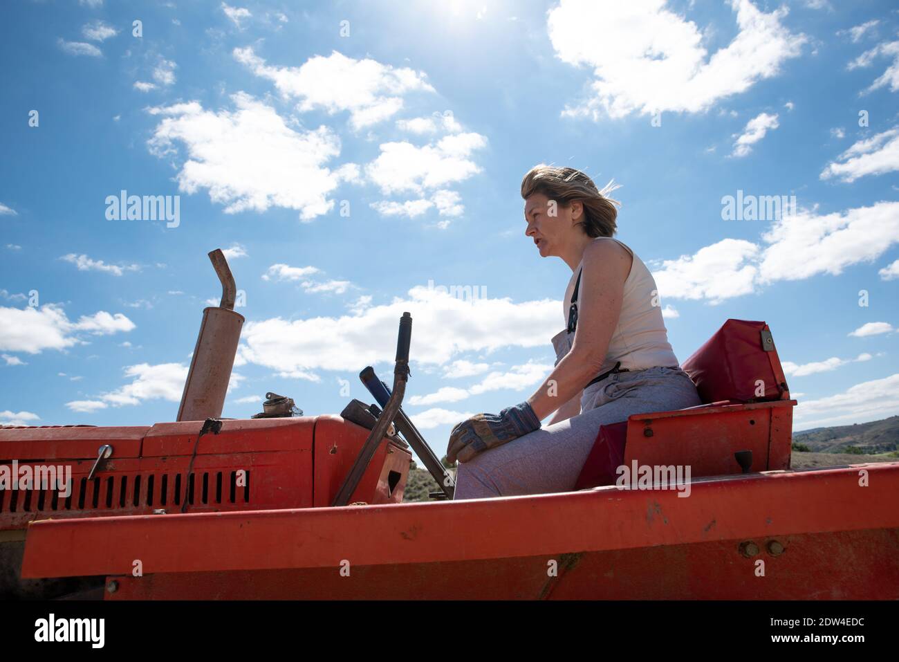 Woman farmer driving a tractor Stock Photo - Alamy